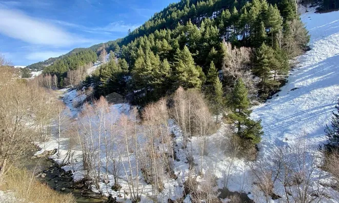 Недвижимость Charming attic with mountain views: 6