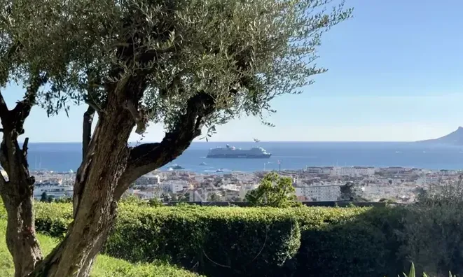 Недвижимость Villa Cannes: 1