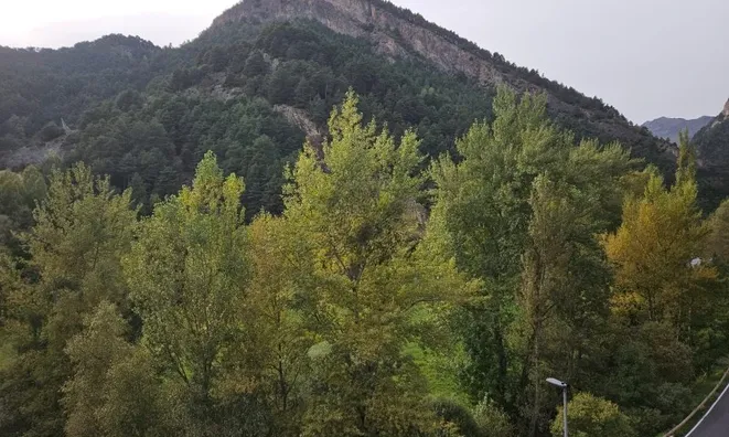 Недвижимость Duplex with 3 bedrooms and 3 auxiliary rooms for sale in La Massana: 20