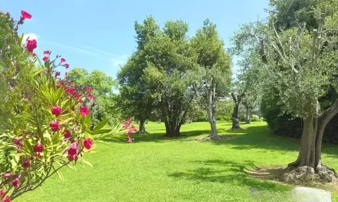 Недвижимость Villa Cannes: 4