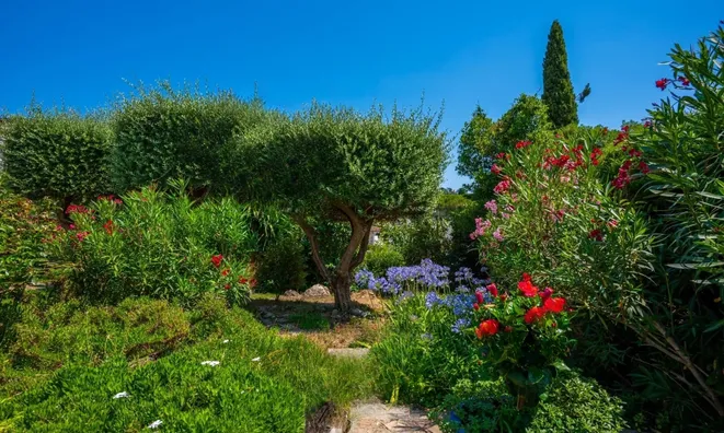 Недвижимость Villa Cannes: 18