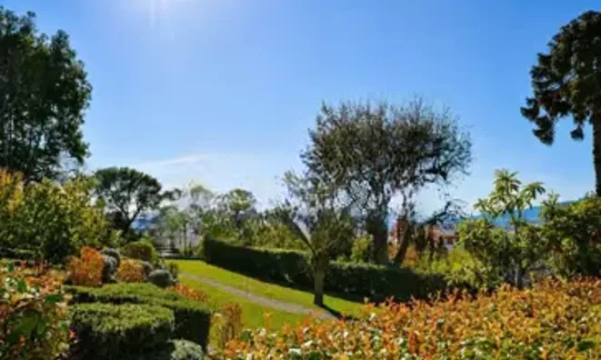 Недвижимость Villa Cannes: 2