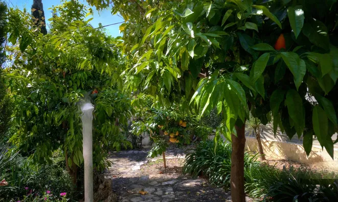 Недвижимость Villa Mougins: 6