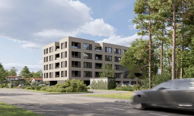 Недвижимость Четырехкомнатная квартира в Козине: 25