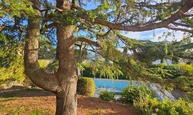 Недвижимость Villa Cannes: 7