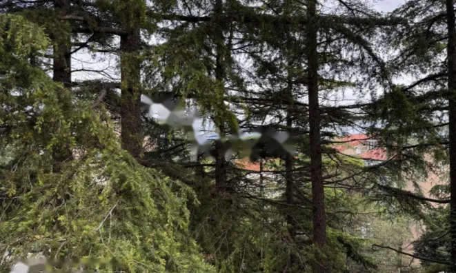 Недвижимость Четырехкомнатная квартира в Копере: 2