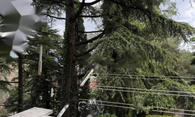 Недвижимость Четырехкомнатная квартира в Копере: 21