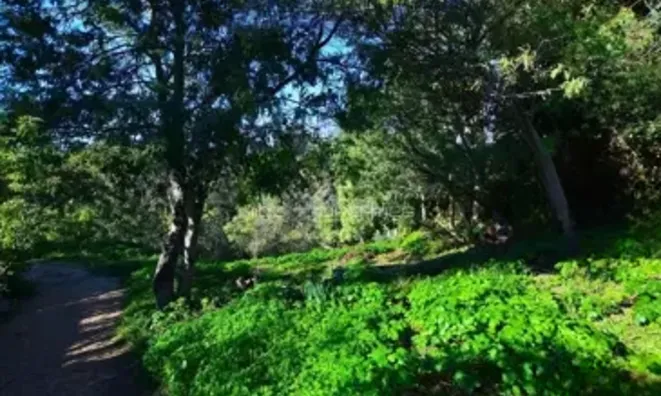 Недвижимость Villa Croix des Gardes: 24