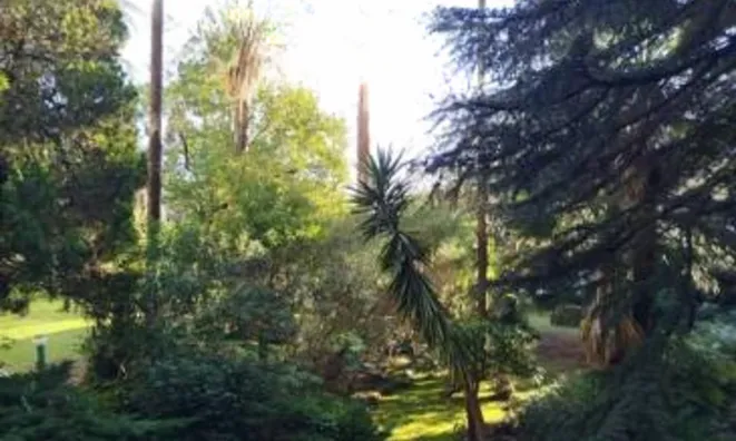 Недвижимость Villa Cannes: 2