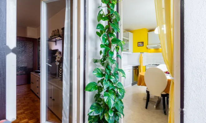 Недвижимость Двухкомнатная квартира в Копере: 4