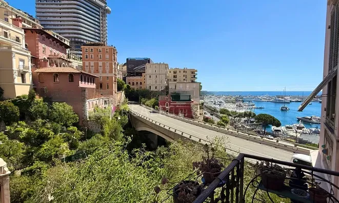 Недвижимость Apartment Monaco, Condamine: 15