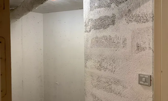 Недвижимость Apartment Monaco, Jardin Exotique: 8