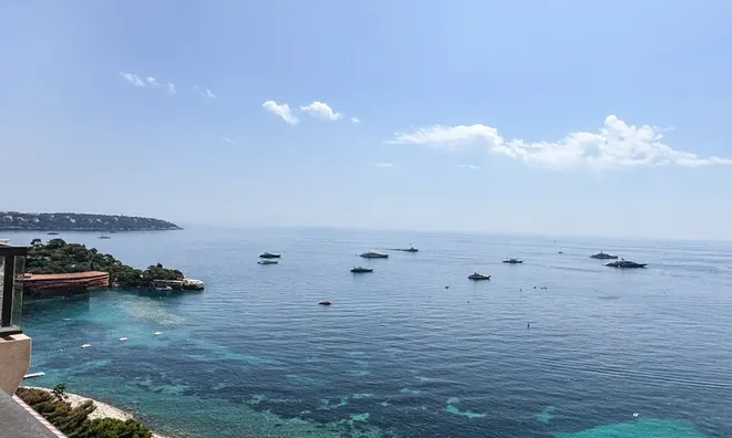 Недвижимость Apartment Monaco, La Rousse: 10