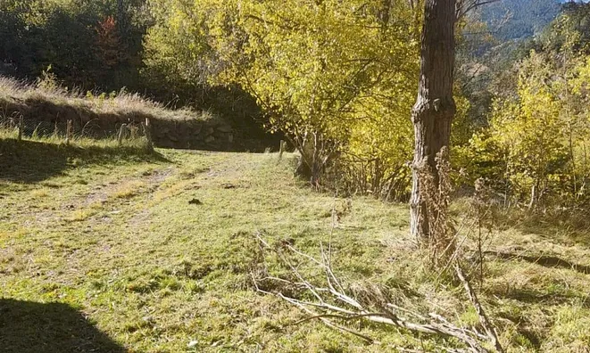 Недвижимость Centenary borda for sale in Pal, La Massana: 7