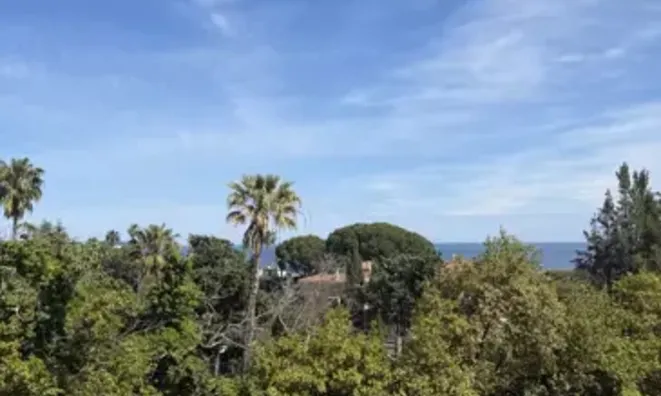 Недвижимость Villa Pointe Croisette: 8