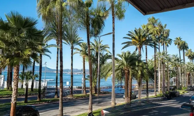 Недвижимость Villa Cannes: 1