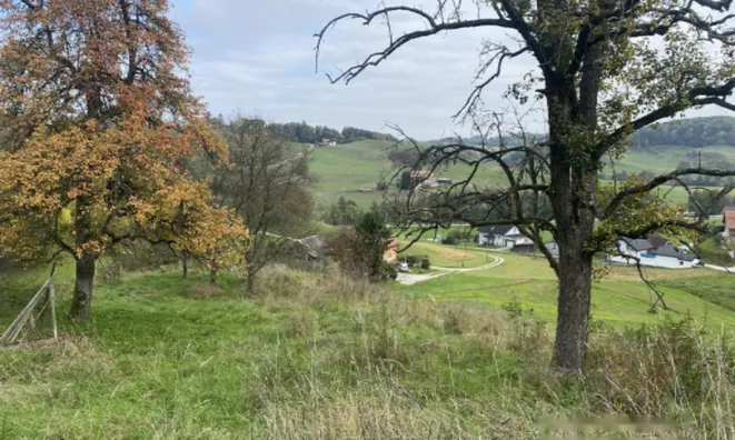 Недвижимость Поместье Кметияново Слатинская Долина: 12