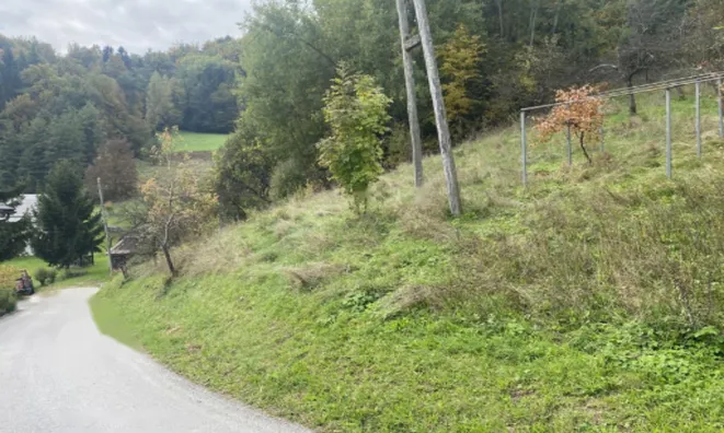 Недвижимость Поместье Кметияново Слатинская Долина: 13