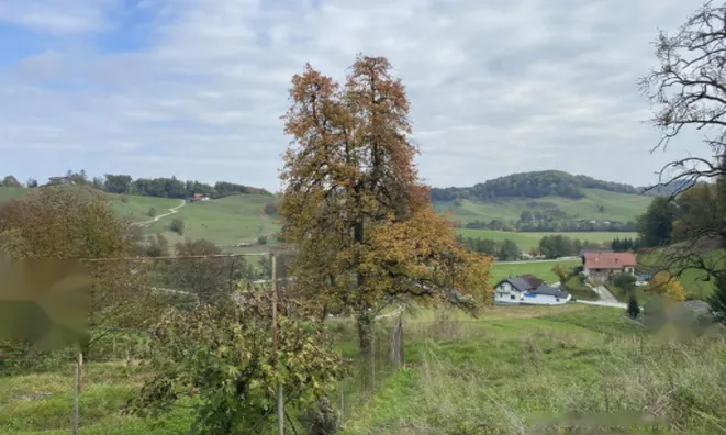 Недвижимость Поместье Кметияново Слатинская Долина: 14