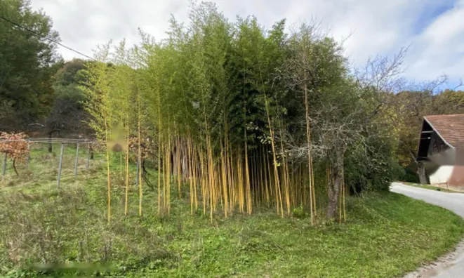 Недвижимость Поместье Кметияново Слатинская Долина: 15