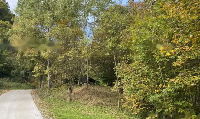 Недвижимость Поместье Кметияново Слатинская Долина: 19