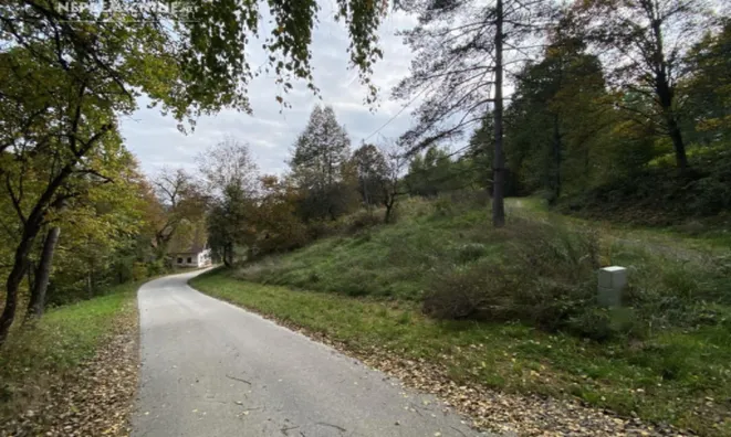 Недвижимость Поместье Кметияново Слатинская Долина: 20