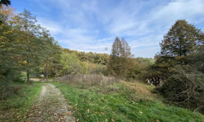 Недвижимость Поместье Кметияново Слатинская Долина: 23