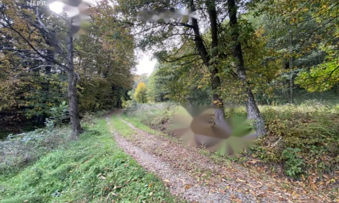 Недвижимость Поместье Кметияново Слатинская Долина: 24