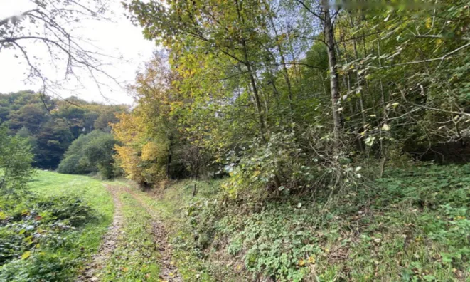 Недвижимость Поместье Кметияново Слатинская Долина: 25