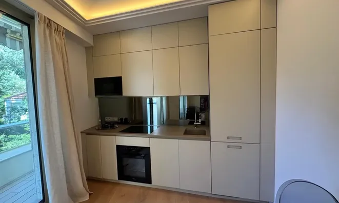 Недвижимость Apartment Monaco, Jardin Exotique: 2