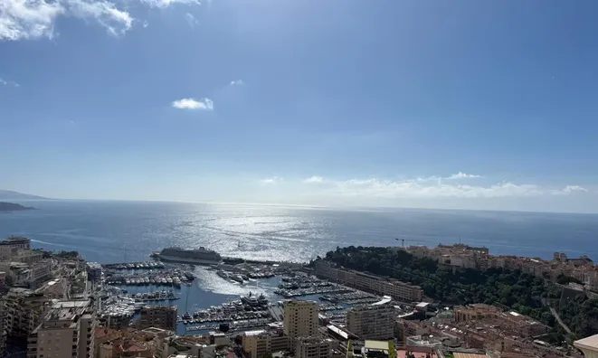 Недвижимость Apartment Monaco, Moneghetti: 1