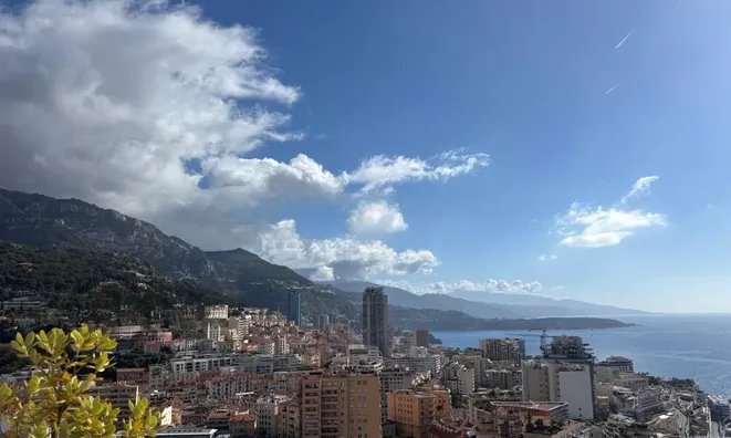 Недвижимость Apartment Monaco, Moneghetti: 2