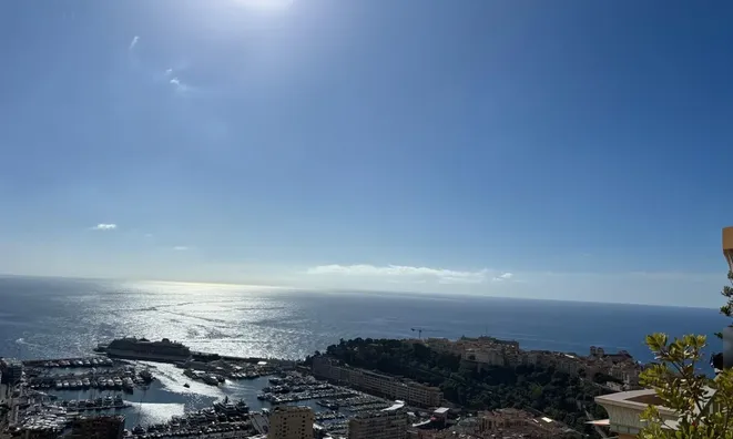 Недвижимость Apartment Monaco, Moneghetti: 21