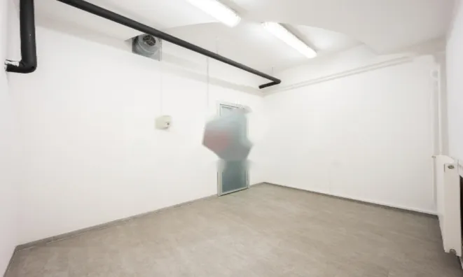 Недвижимость Коммерческое помещение Бежиград: 12