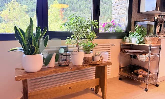 Недвижимость Chalet for sale in Anyós, 4 bedrooms: 13