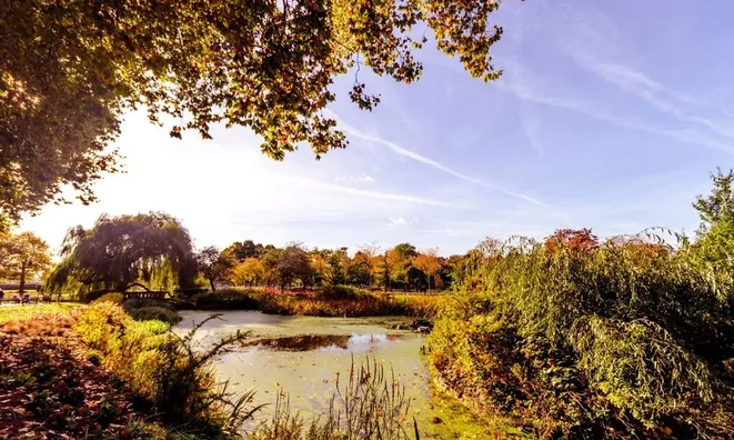 Недвижимость Neville Gill Close, Wandsworth: 2