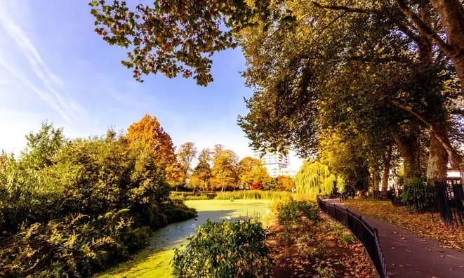 Недвижимость Neville Gill Close, Wandsworth: 3