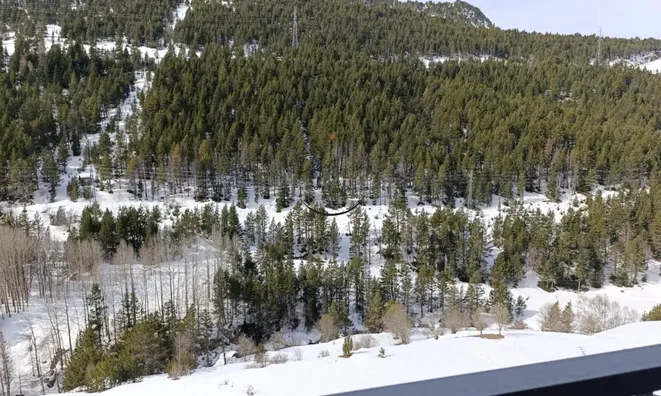 Недвижимость Mountain retreat in Bordes d’Envalira: 4