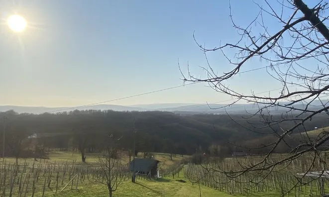 Недвижимость Дом, Ореховица: 13
