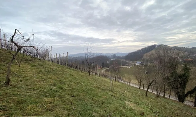 Недвижимость Дом на Градище, Птуй Околица: 9