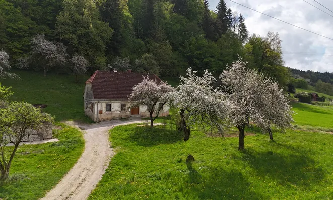 Недвижимость Участок у фермы Франколово, ровный и солнечный.: 4
