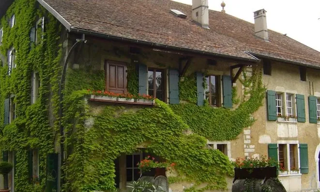 Недвижимость Single house 15 rooms: 3
