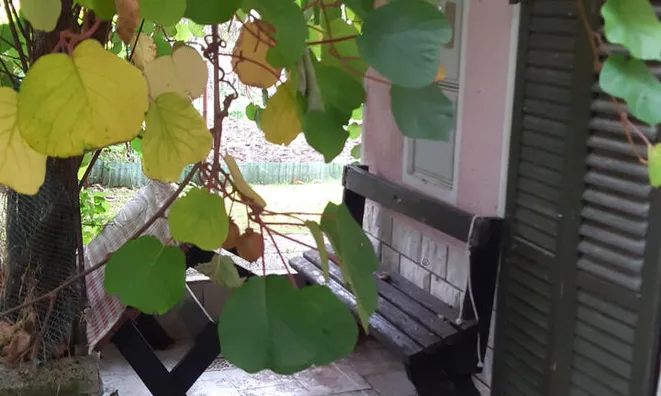 Недвижимость Дом, Мало Требельево: 5