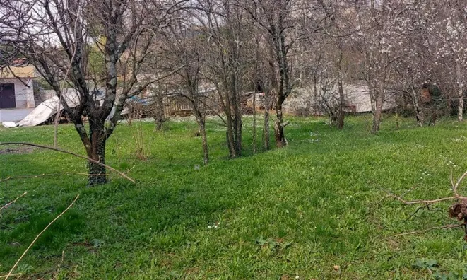 Недвижимость Дом в Сежане: 22