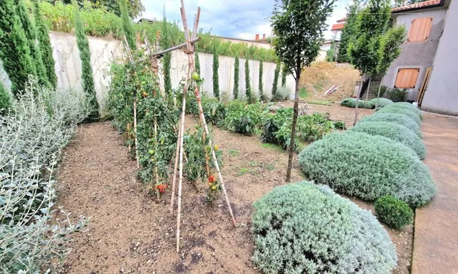 Недвижимость Дом в Чежарье: 4