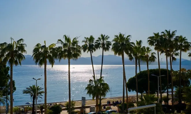 Недвижимость Villa Cannes Centre-ville: 1