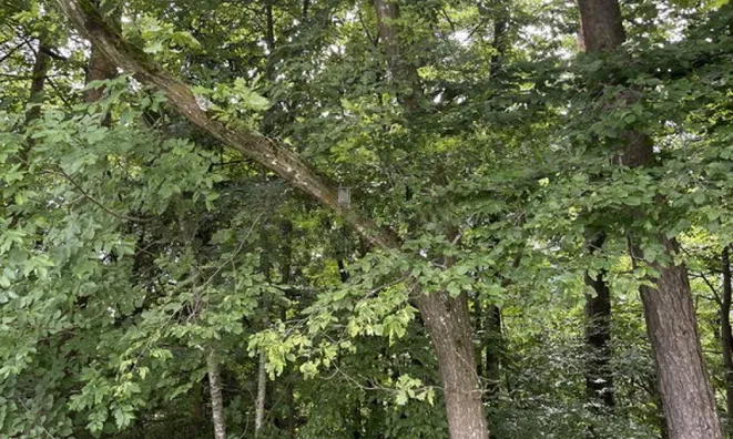 Недвижимость Имение, Сельскохозяйственное угодье Ново-Блед.: 15