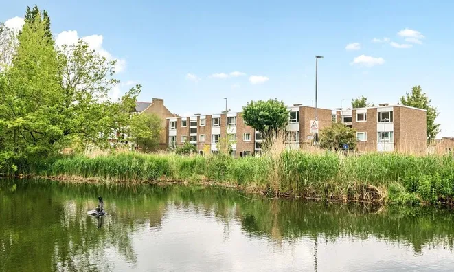 Недвижимость Bolingbroke Grove, Battersea: 7