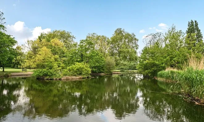 Недвижимость Bolingbroke Grove, Battersea: 8
