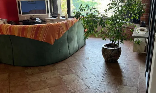Недвижимость Дом, Порторож: 15